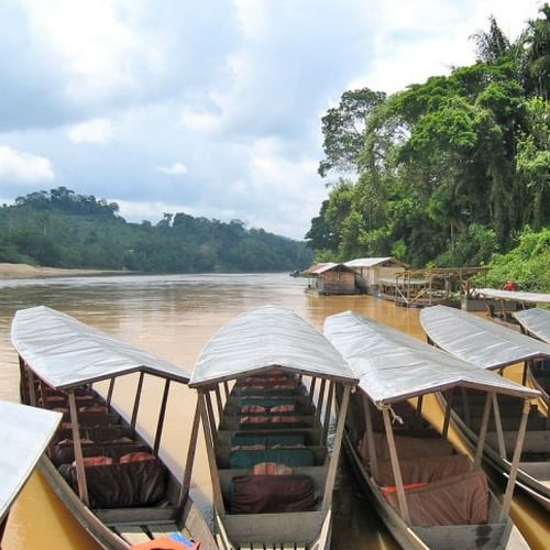 Taman Negara