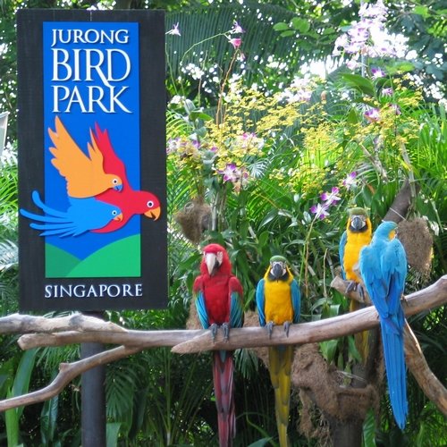 Jurong Birdpark