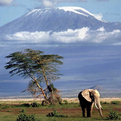 Kilimanjaro