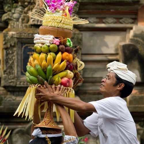 Fruithoed