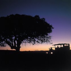 Nightdrive