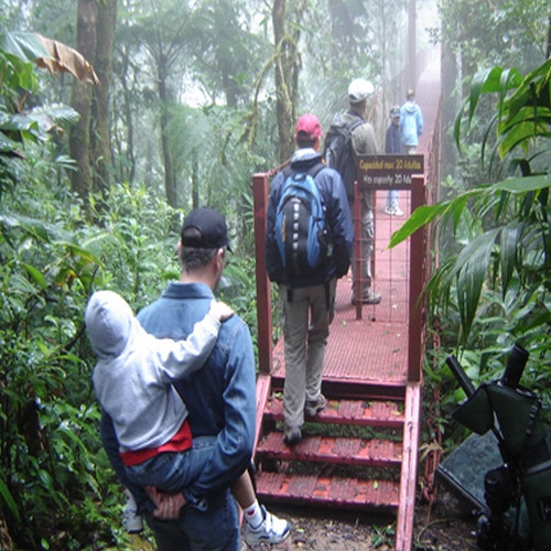 Monteverde hikiing