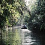 Tortuguero boottocht