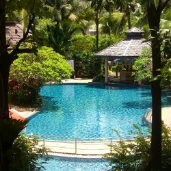 zwembad Kata Palm Resort & Spa
