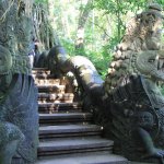 Het Apenbos in Ubud