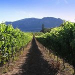 Franschhoek