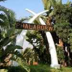 Phalaborwa