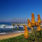 Umhlanga