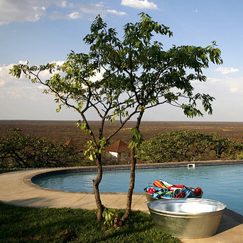 Etosha Safari Lodge, zwembad