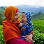 Cameron Highlands
