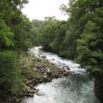Puerto Viejo de Sarapiqu&iacute;