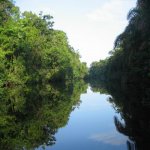 CR_AL_TORTUGUERO2