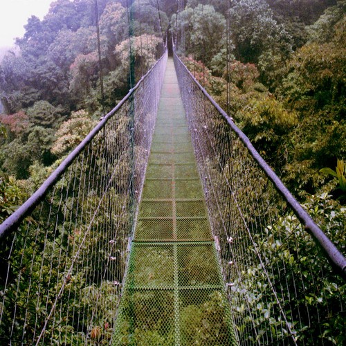 Hangende brug in het Monteverde Nationaal Park