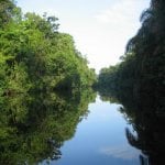Tortuguero Nationaal Park