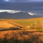 ZA_AL_Swellendam4
