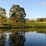 ZA_AL_DULLSTROOM2