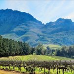ZA_AL_STELLENBOSCH5