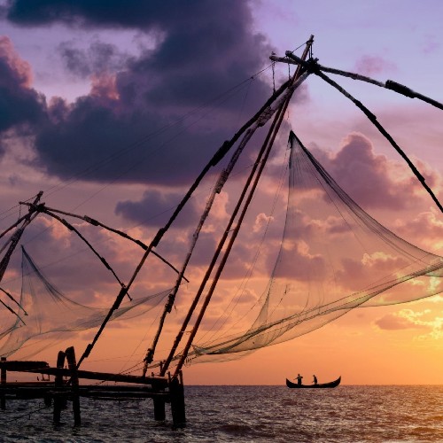 Chinese visnetten, Cochin