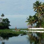 IN_AL_Kumarakom