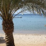 JO_AL_AQABA1