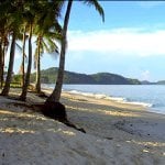 Palmbomen op het strand van Langkawi