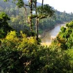 Taman Negara
