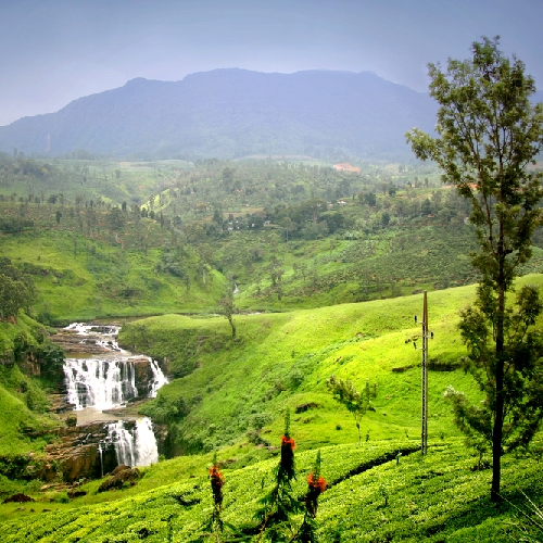 Kandy