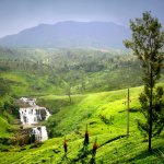 LK_AL_KANDY1