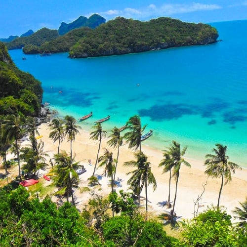 Palmbomen en blauw water Koh Tao