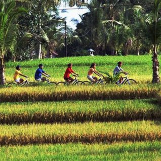ID_AL_LOM_fietsen