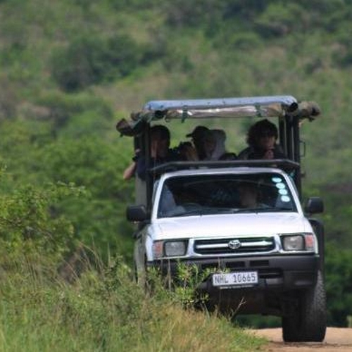 Hluwehluwe Safari