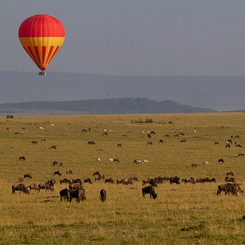 Ballonvaart Masai Mara