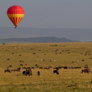 Ballonvaart Masai Mara