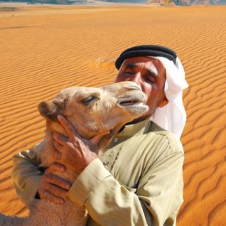 JO_AL_WadiRum_kameel-zoenen_13529617