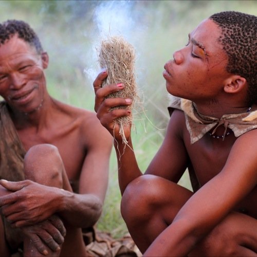 NA_AL_Kalahari_bosjesmannen_151844357