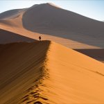 NA_AL_Sossusvlei_duinen_63083197