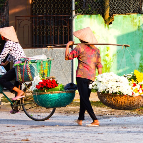 hanoi flower vendor