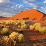 ZA_AL_Sossusvlei_31196923
