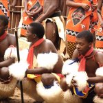 ZA_AL_Swaziland_stam_78350053