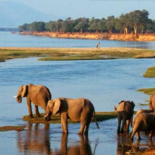 Zambezi River