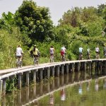 Fietsen Bangkok