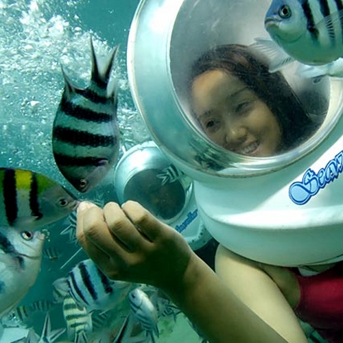 Sea Walker