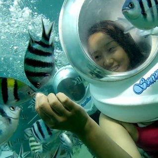 Sea Walker