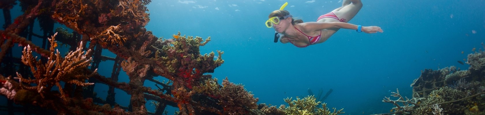 Snorkelen en duiken bij Pemuteran