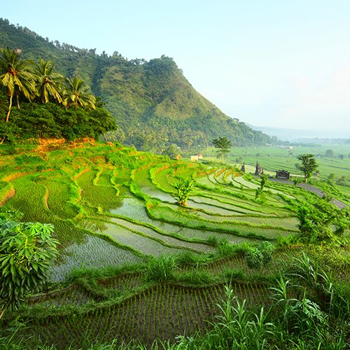 Relaxt door Java & Bali