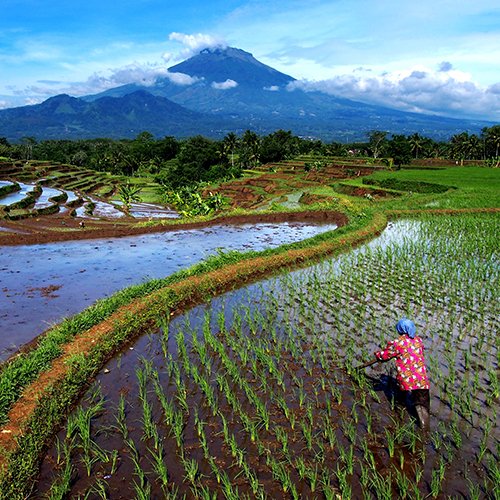 Java, Bali, Gili & Lombok