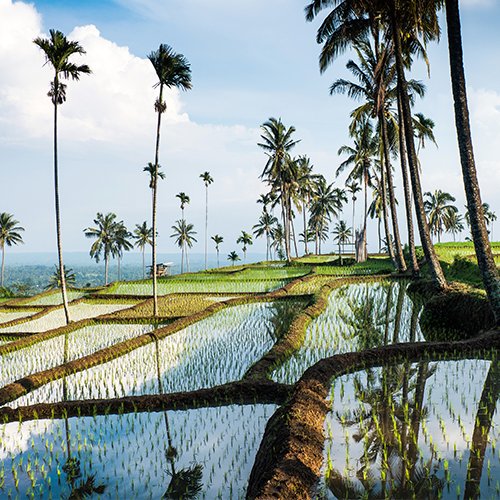 Sumatra, Java, Bali, Gili & Lombok