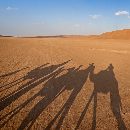Slapen onder de Sterren in Oman