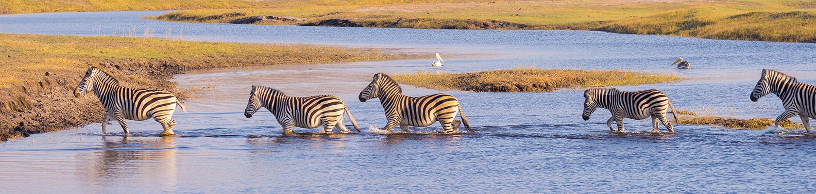 Kruger Nationaal Park