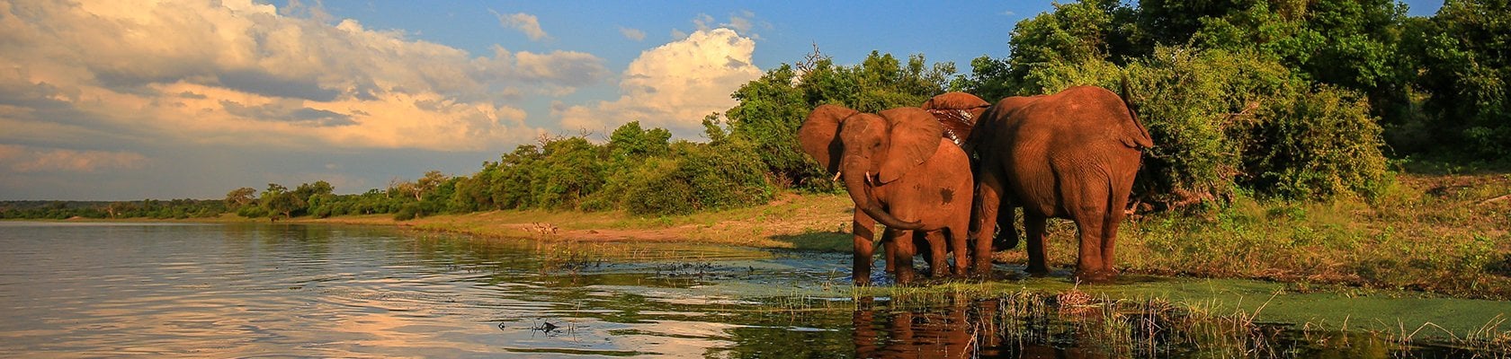 Kruger Nationaal Park